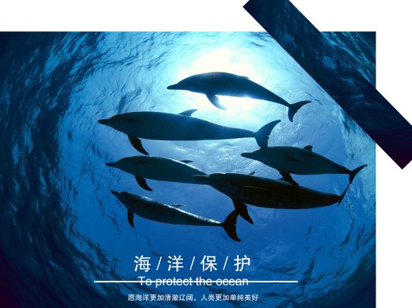 0198-海洋保护海报(刘向欣等)(图文)5.jpg