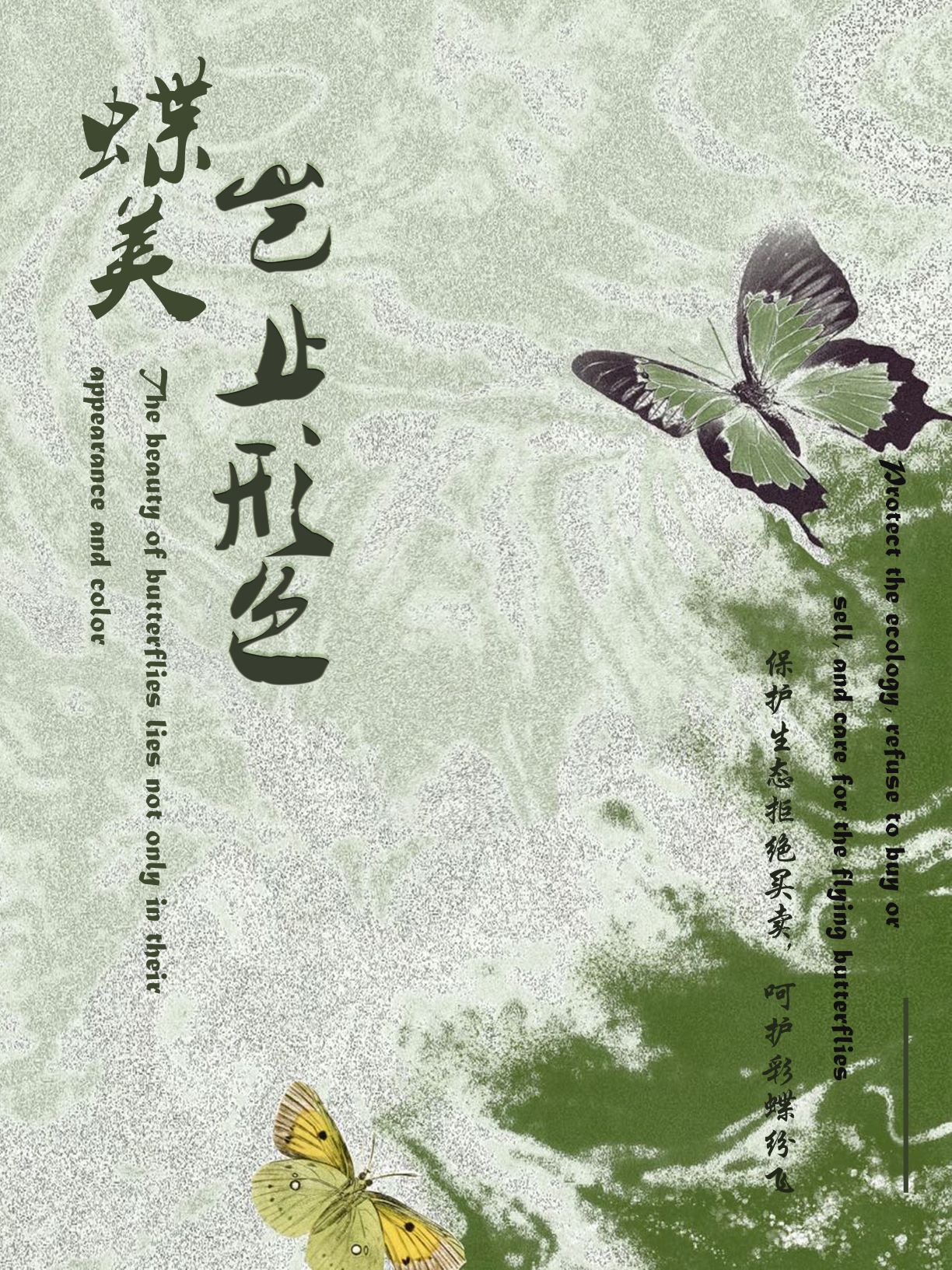 0276-蝶美岂止形色(赵贤、朱致远)(图文)1.蝶美岂止形色封面.jpg